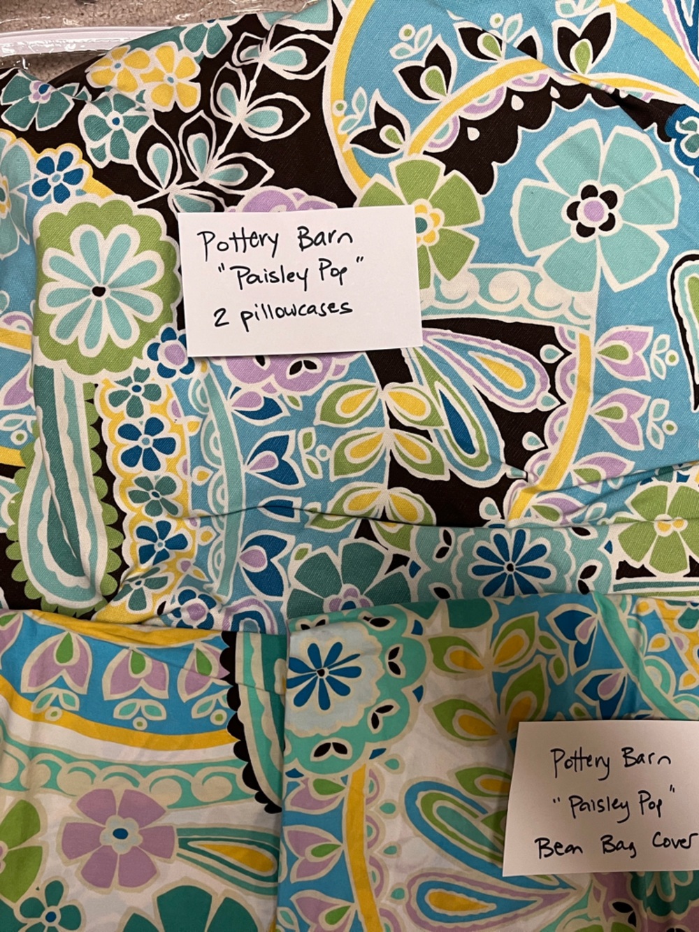 Pottery Barn Teen  “Paisley Pop” pattern BEAN BAG COVER & PAIR PILLOWCASES